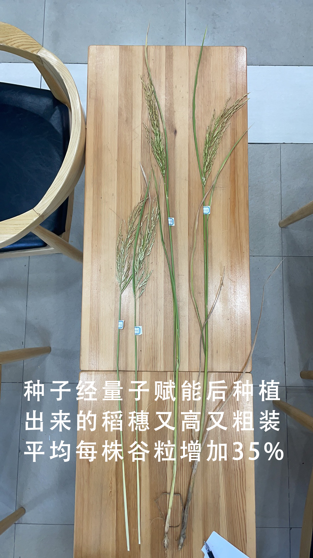 1704296479474684.jpg 2023_10_27_16_59_IMG_8156.jpg